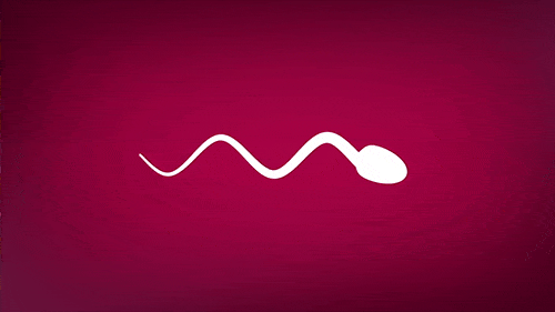Sperm Junkies – faggot’s Love Cum