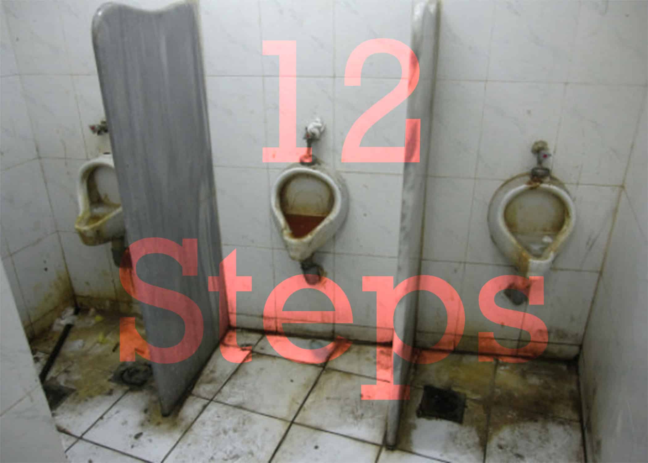 Twelve Steps for faggots